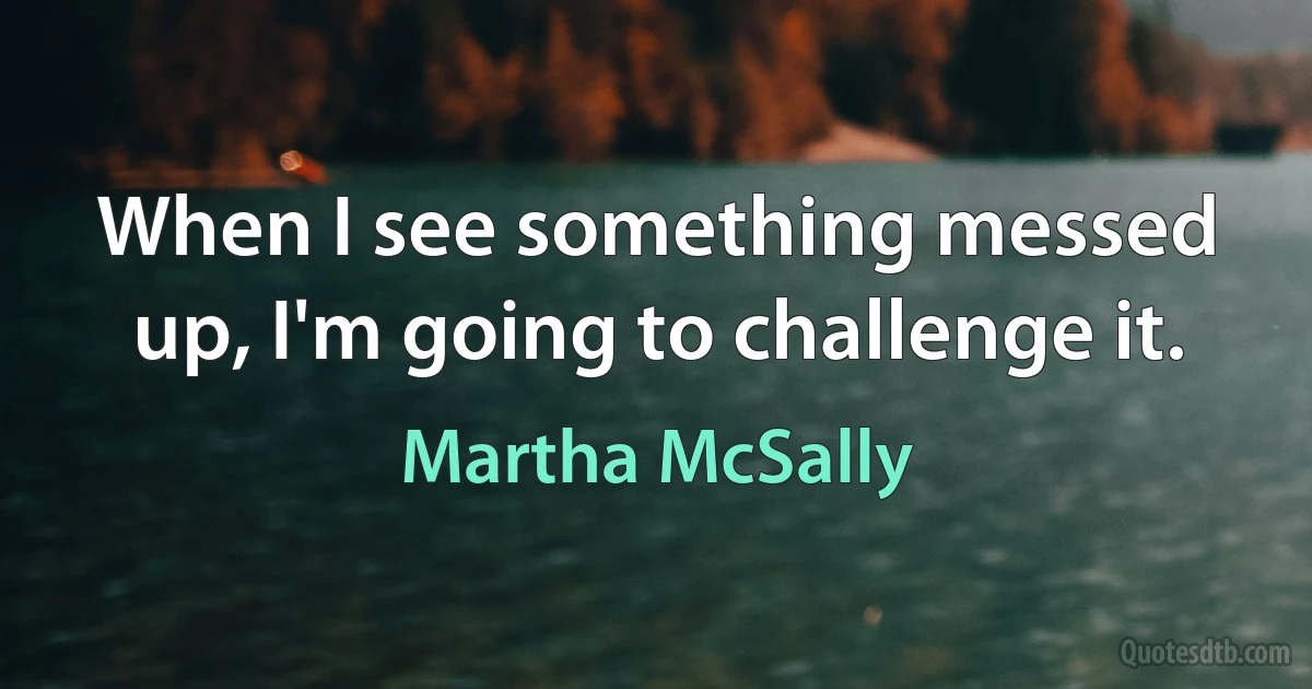 When I see something messed up, I'm going to challenge it. (Martha McSally)