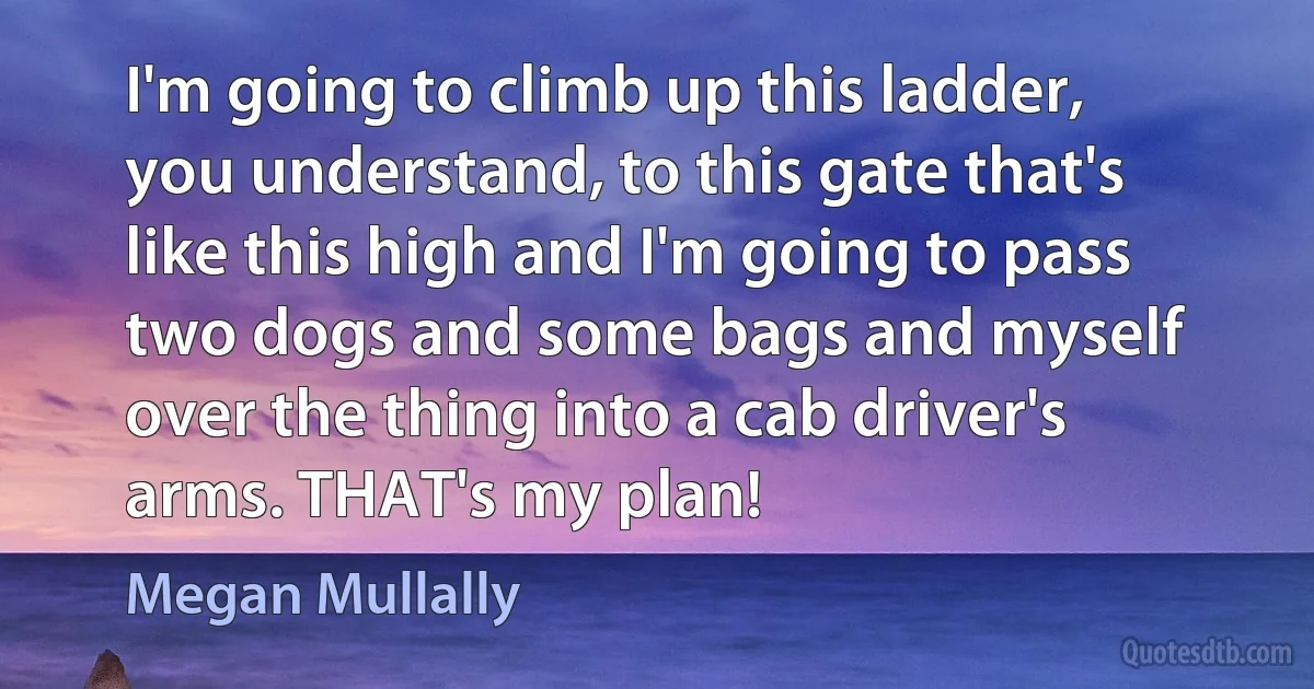 I'm going to climb up this ladder, you understand, to this gate that's like this high and I'm going to pass two dogs and some bags and myself over the thing into a cab driver's arms. THAT's my plan! (Megan Mullally)