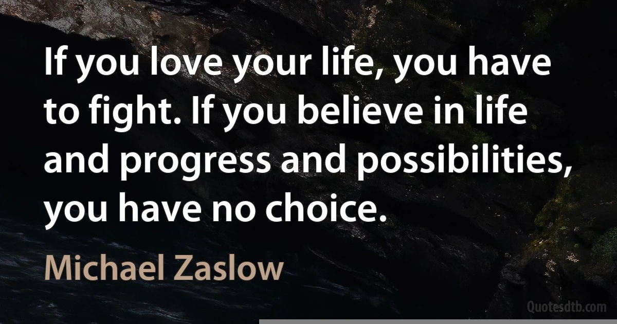 If you love your life, you have to fight. If you believe in life and progress and possibilities, you have no choice. (Michael Zaslow)