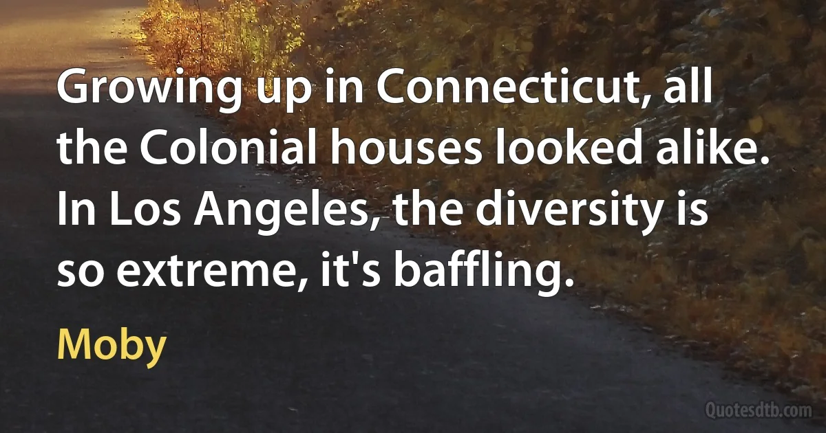 Growing up in Connecticut, all the Colonial houses looked alike. In Los Angeles, the diversity is so extreme, it's baffling. (Moby)