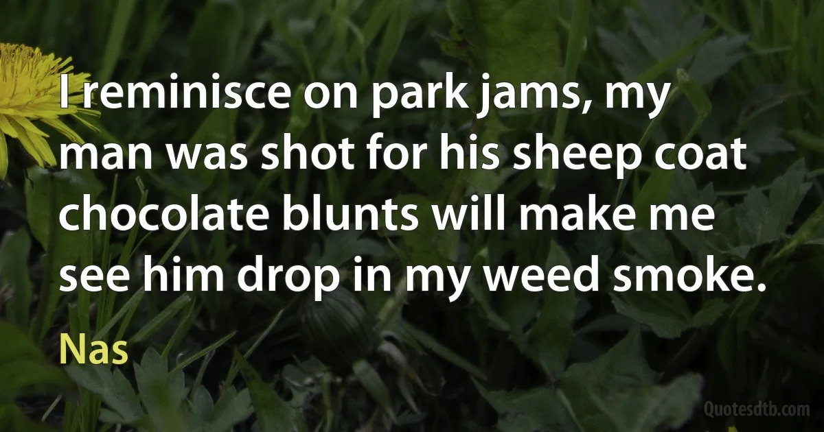 I reminisce on park jams, my man was shot for his sheep coat
chocolate blunts will make me see him drop in my weed smoke. (Nas)