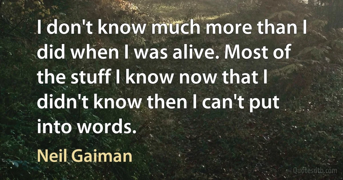 I don't know much more than I did when I was alive. Most of the stuff I know now that I didn't know then I can't put into words. (Neil Gaiman)