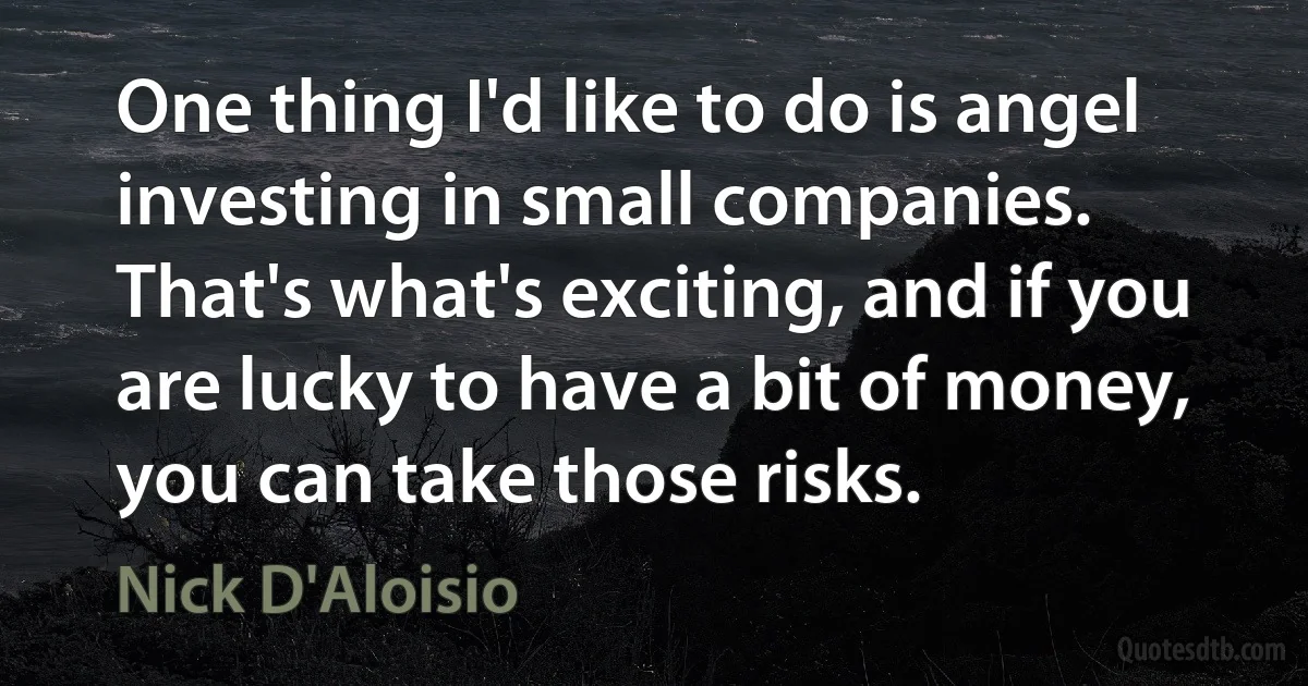 One thing I'd like to do is angel investing in small companies. That's what's exciting, and if you are lucky to have a bit of money, you can take those risks. (Nick D'Aloisio)