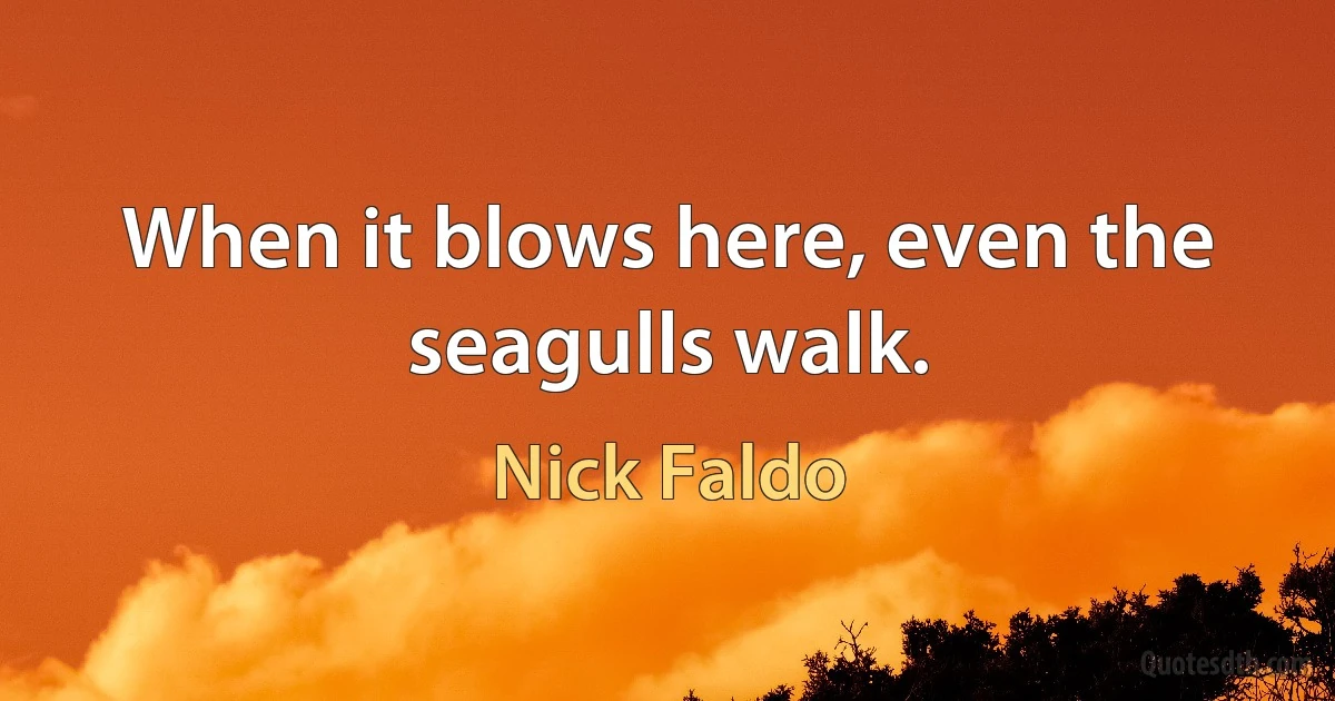 When it blows here, even the seagulls walk. (Nick Faldo)