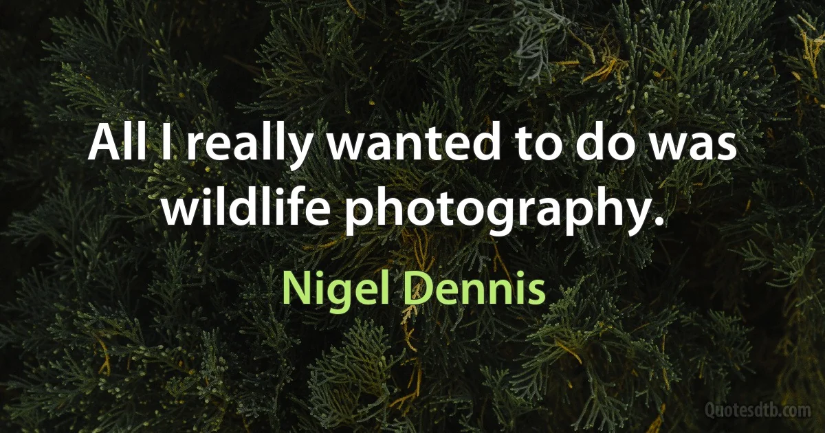 All I really wanted to do was wildlife photography. (Nigel Dennis)