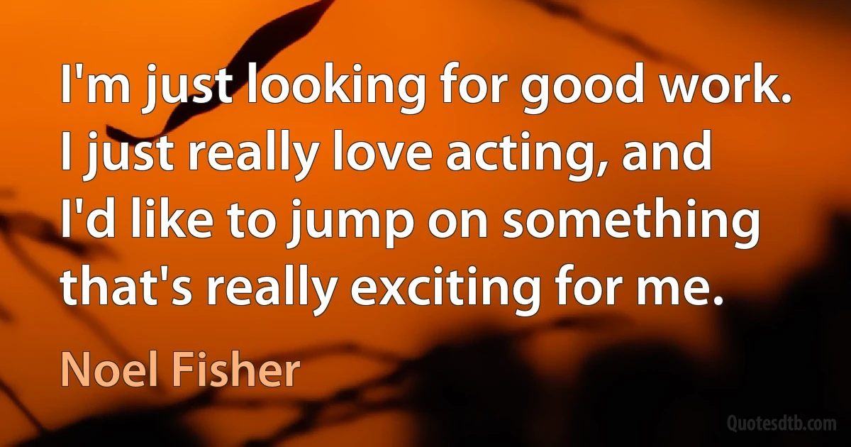 I'm just looking for good work. I just really love acting, and I'd like to jump on something that's really exciting for me. (Noel Fisher)