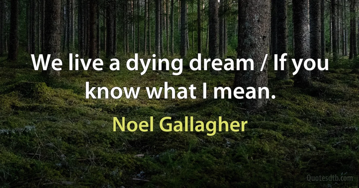 We live a dying dream / If you know what I mean. (Noel Gallagher)