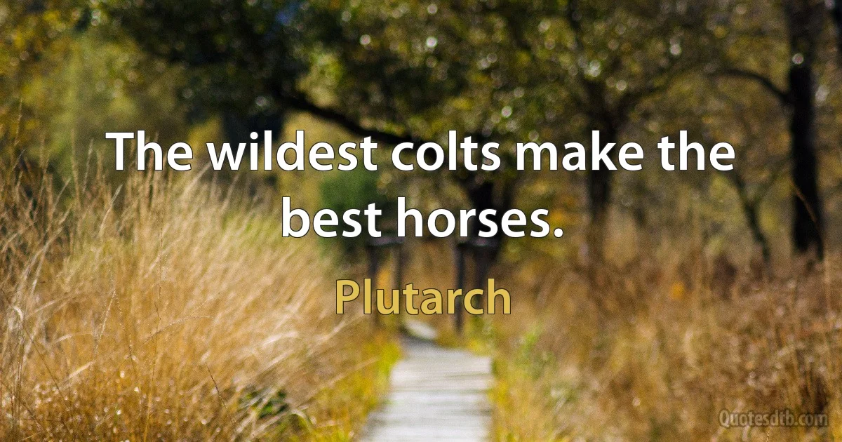 The wildest colts make the best horses. (Plutarch)