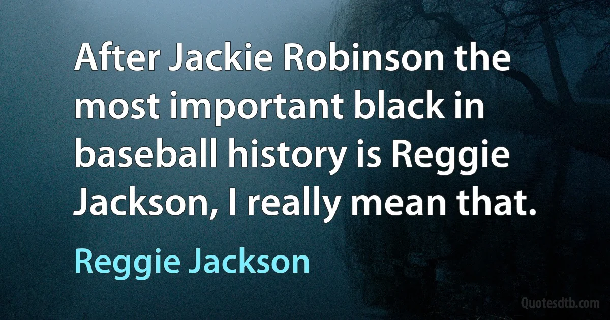 After Jackie Robinson the most important black in baseball history is Reggie Jackson, I really mean that. (Reggie Jackson)