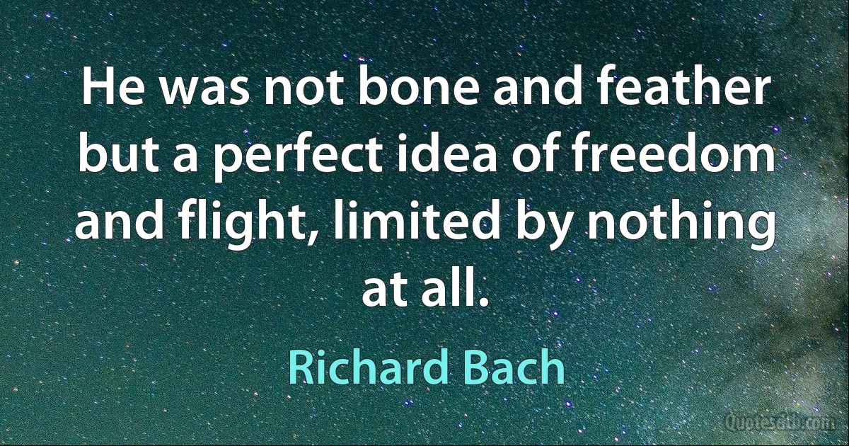 He was not bone and feather but a perfect idea of freedom and flight, limited by nothing at all. (Richard Bach)