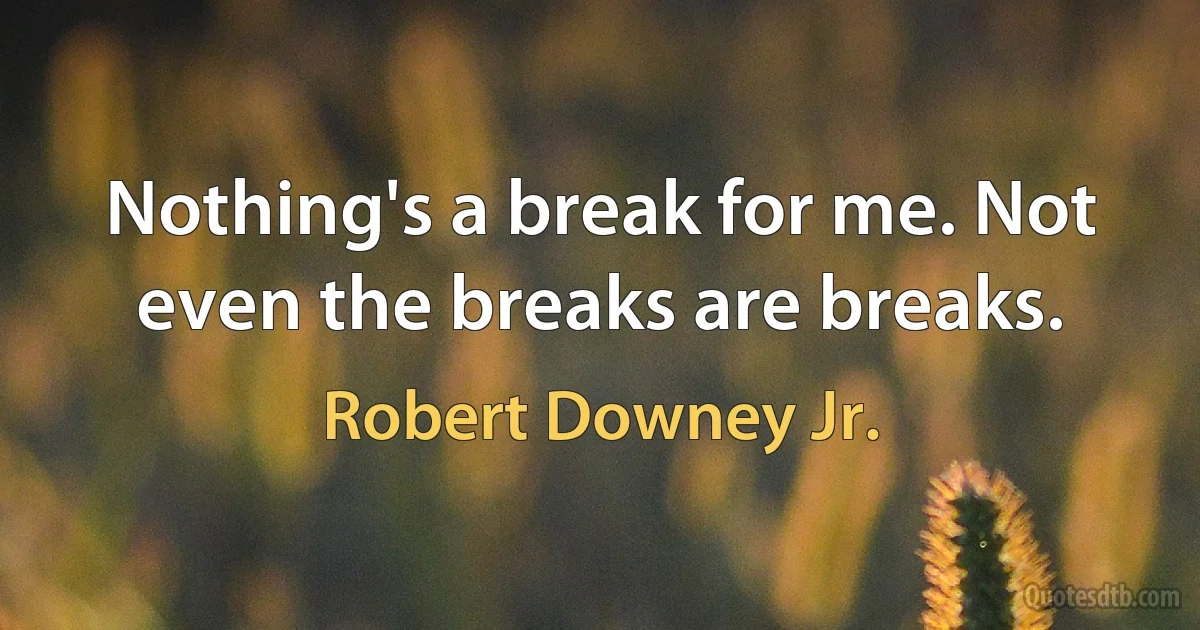 Nothing's a break for me. Not even the breaks are breaks. (Robert Downey Jr.)