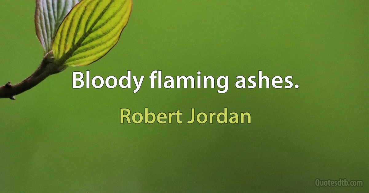 Bloody flaming ashes. (Robert Jordan)