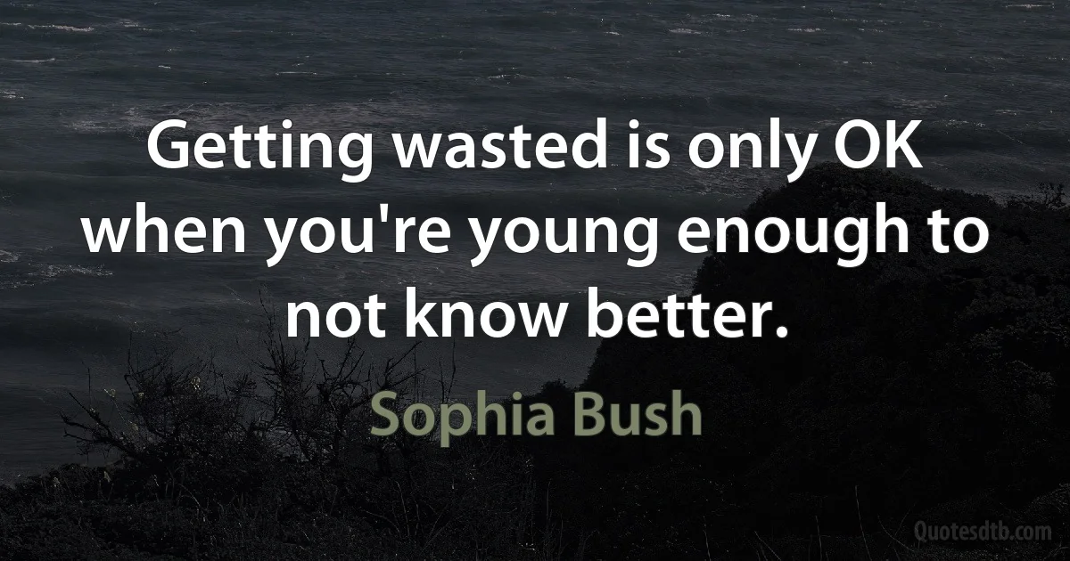 Getting wasted is only OK when you're young enough to not know better. (Sophia Bush)