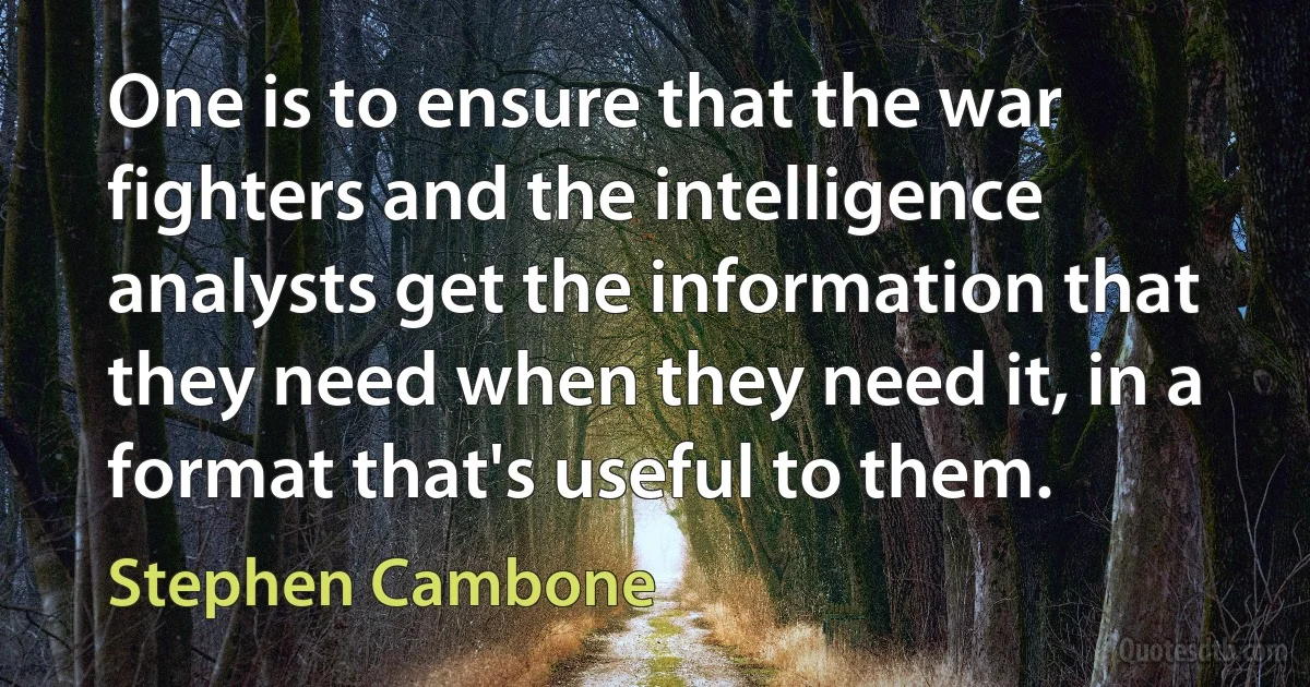 One is to ensure that the war fighters and the intelligence analysts get the information that they need when they need it, in a format that's useful to them. (Stephen Cambone)