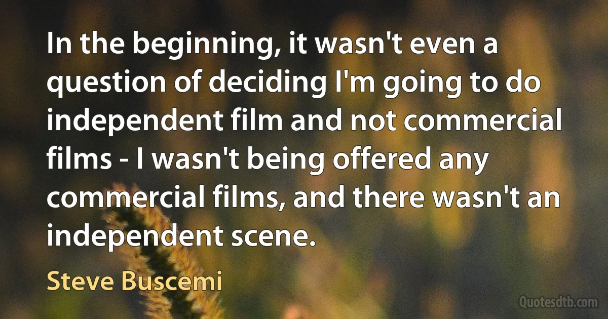 In the beginning, it wasn't even a question of deciding I'm going to do independent film and not commercial films - I wasn't being offered any commercial films, and there wasn't an independent scene. (Steve Buscemi)