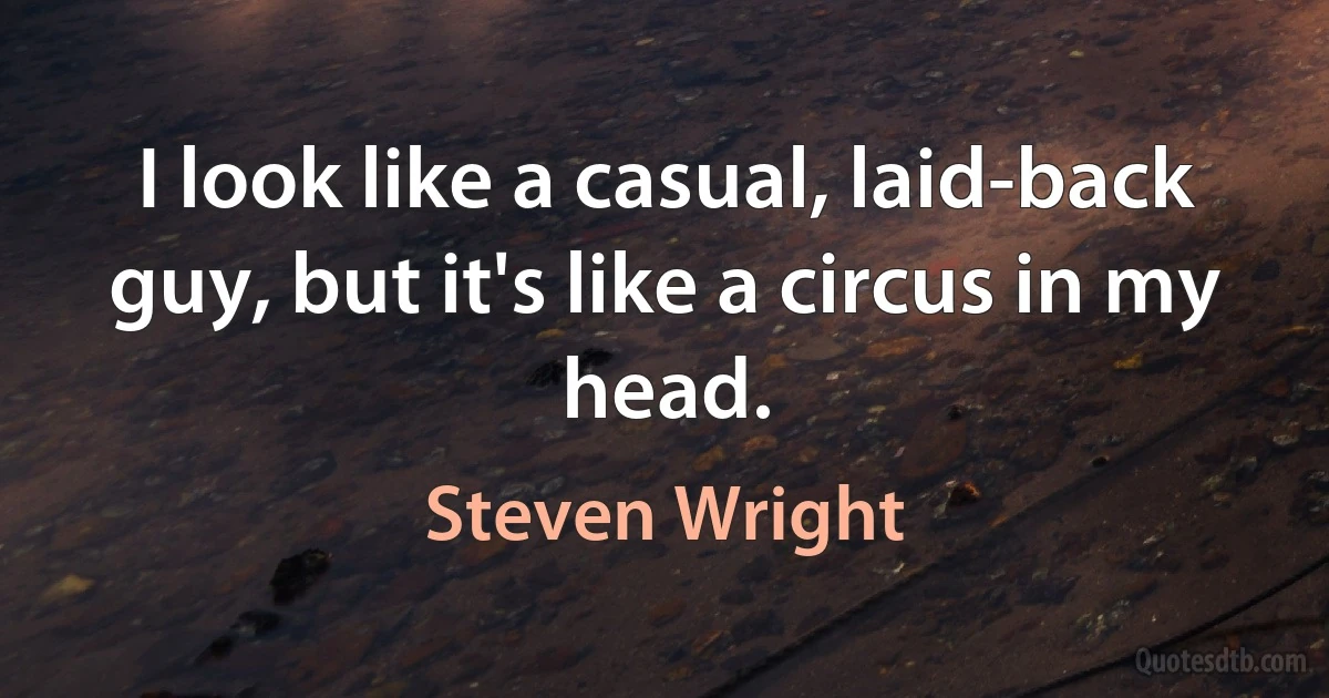 I look like a casual, laid-back guy, but it's like a circus in my head. (Steven Wright)