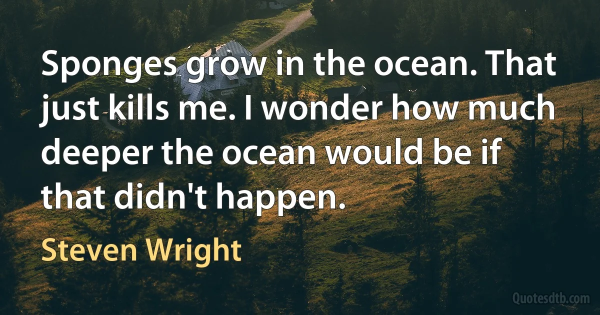 Sponges grow in the ocean. That just kills me. I wonder how much deeper the ocean would be if that didn't happen. (Steven Wright)