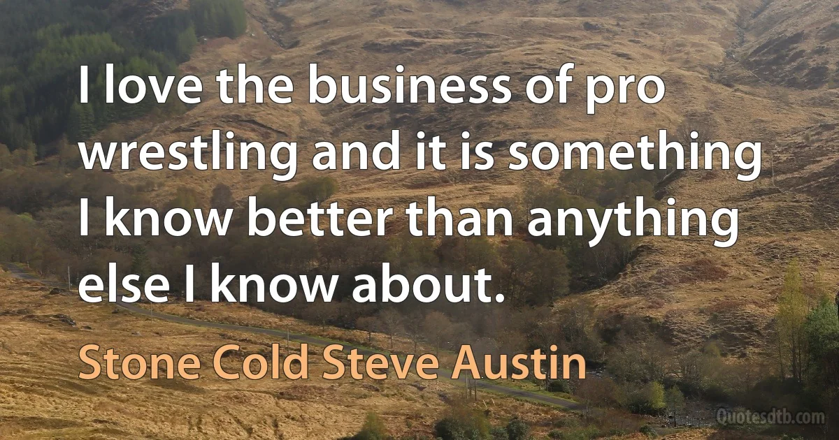 I love the business of pro wrestling and it is something I know better than anything else I know about. (Stone Cold Steve Austin)