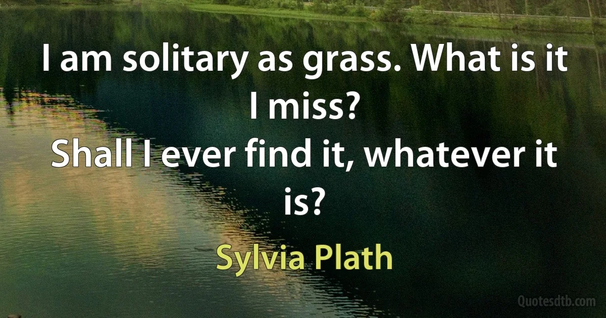 I am solitary as grass. What is it I miss?
Shall I ever find it, whatever it is? (Sylvia Plath)