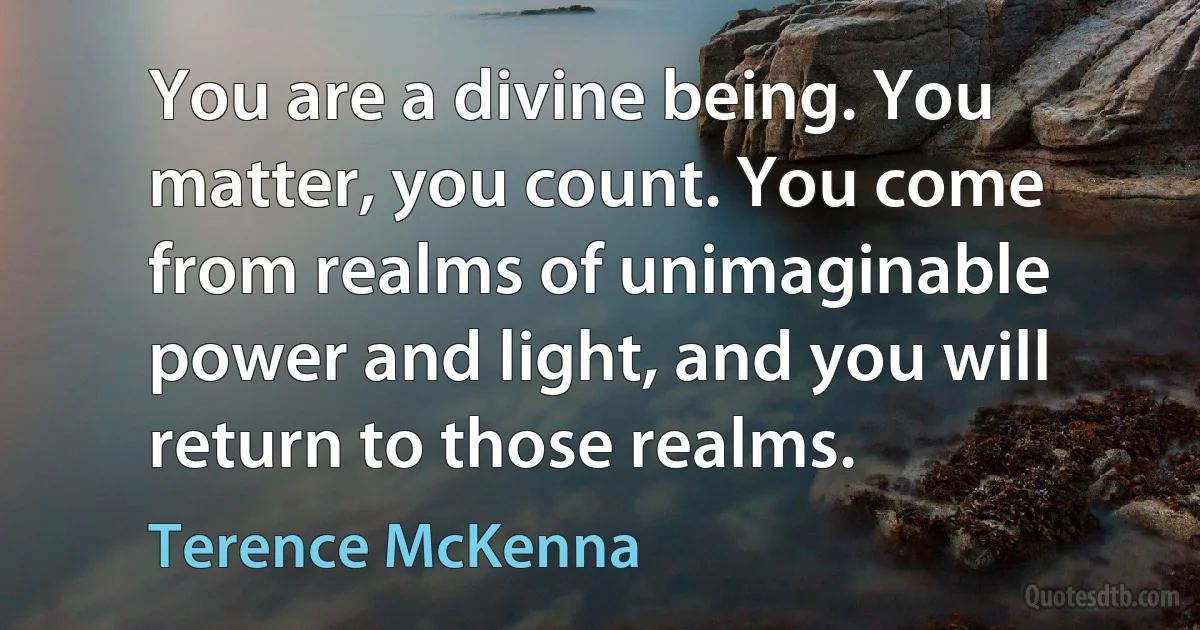 You are a divine being. You matter, you count. You come from realms of unimaginable power and light, and you will return to those realms. (Terence McKenna)