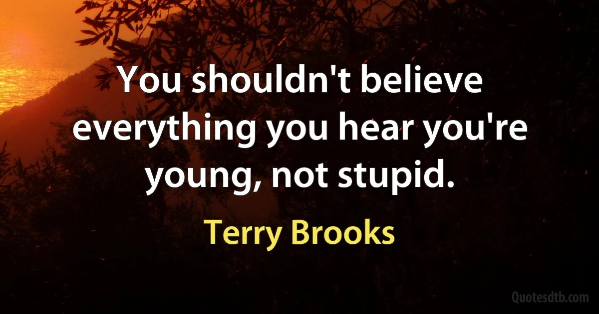 You shouldn't believe everything you hear you're young, not stupid. (Terry Brooks)