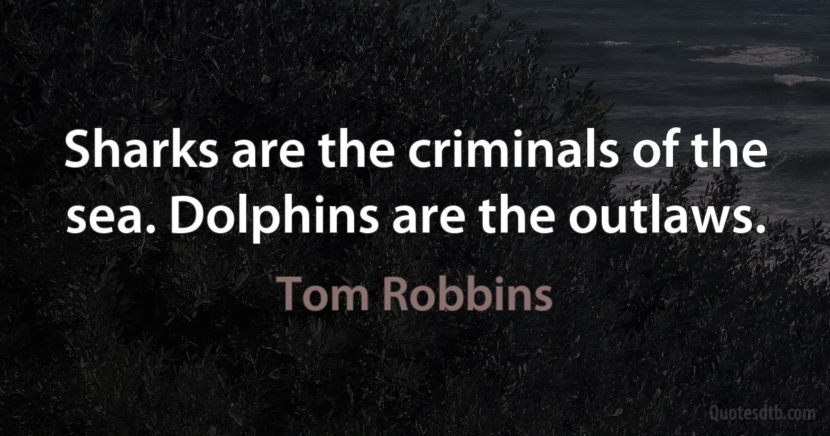 Sharks are the criminals of the sea. Dolphins are the outlaws. (Tom Robbins)