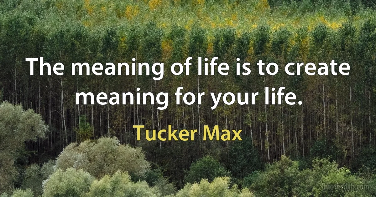 The meaning of life is to create meaning for your life. (Tucker Max)