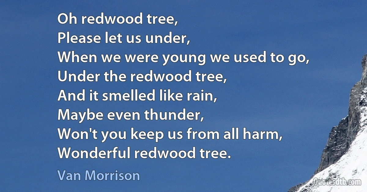 Oh redwood tree,
Please let us under,
When we were young we used to go,
Under the redwood tree,
And it smelled like rain,
Maybe even thunder,
Won't you keep us from all harm,
Wonderful redwood tree. (Van Morrison)