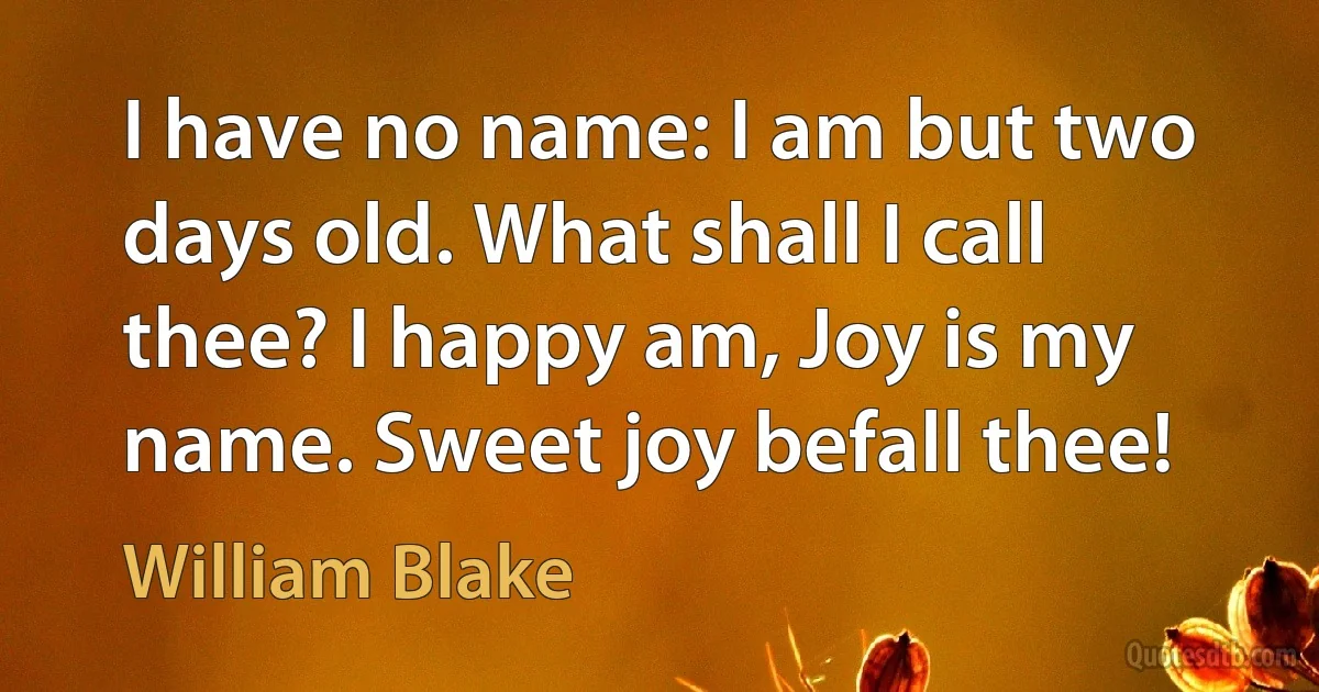 I have no name: I am but two days old. What shall I call thee? I happy am, Joy is my name. Sweet joy befall thee! (William Blake)