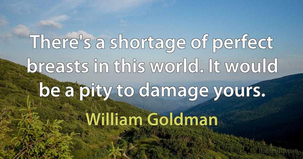 There's a shortage of perfect breasts in this world. It would be a pity to damage yours. (William Goldman)