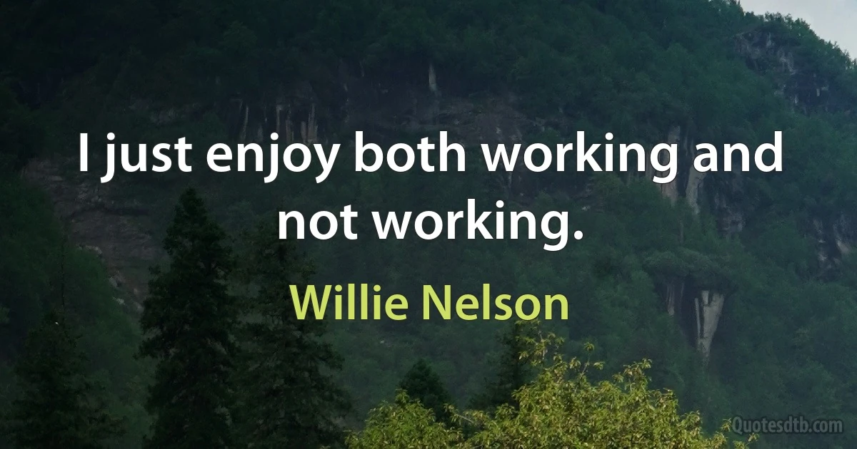 I just enjoy both working and not working. (Willie Nelson)