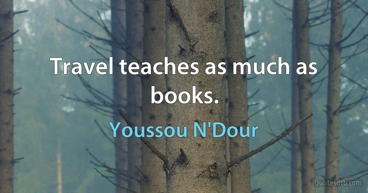 Travel teaches as much as books. (Youssou N'Dour)