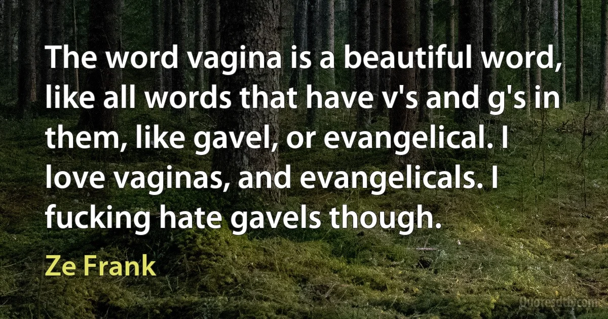 The word vagina is a beautiful word, like all words that have v's and g's in them, like gavel, or evangelical. I love vaginas, and evangelicals. I fucking hate gavels though. (Ze Frank)