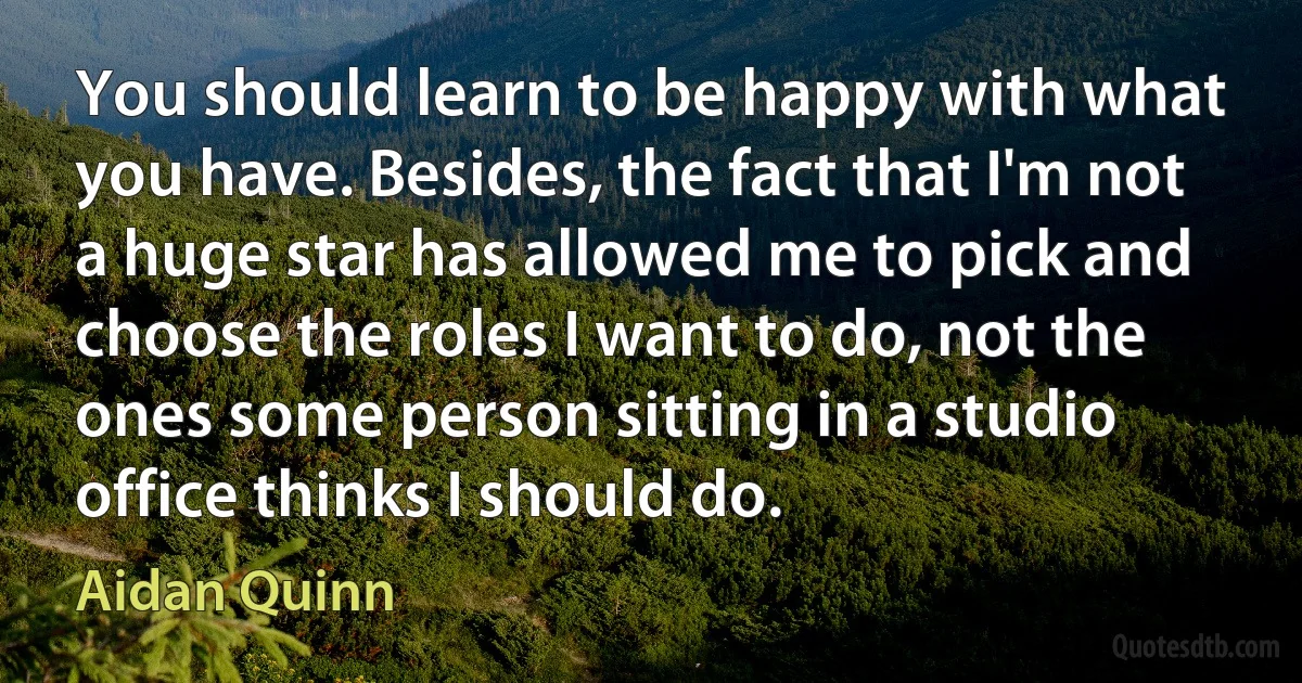 You should learn to be happy with what you have. Besides, the fact that I'm not a huge star has allowed me to pick and choose the roles I want to do, not the ones some person sitting in a studio office thinks I should do. (Aidan Quinn)