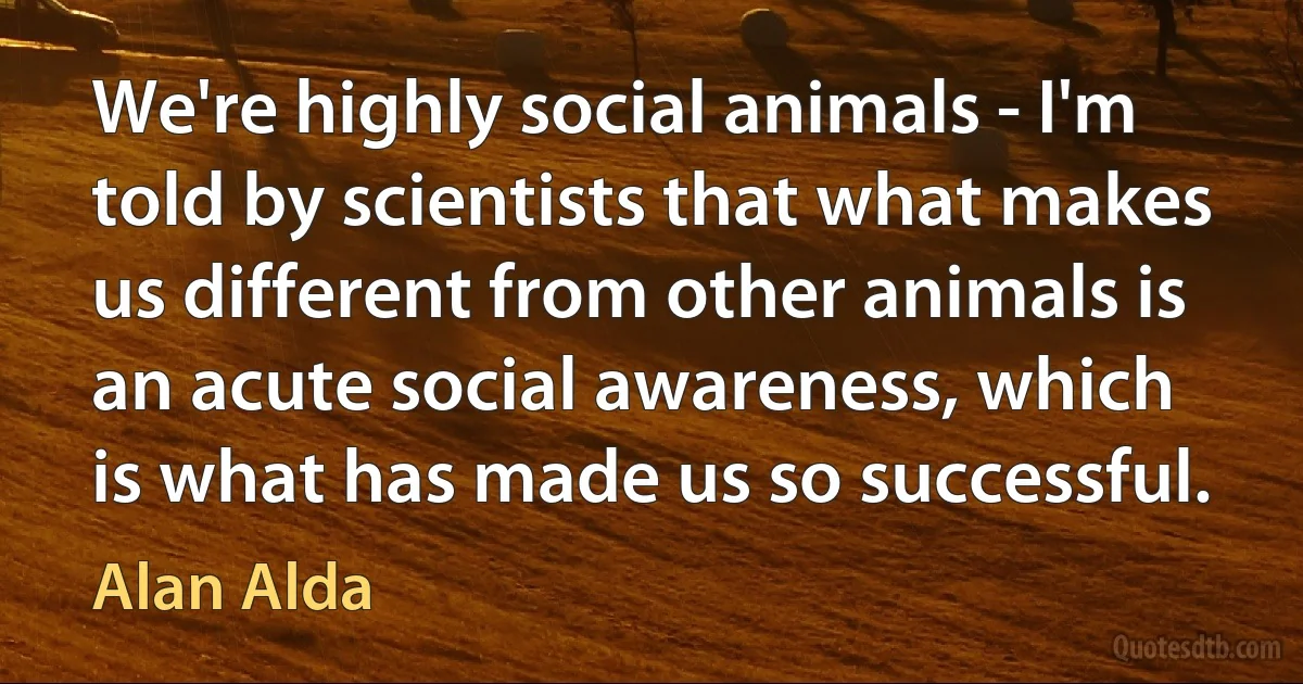 We're highly social animals - I'm told by scientists that what makes us different from other animals is an acute social awareness, which is what has made us so successful. (Alan Alda)