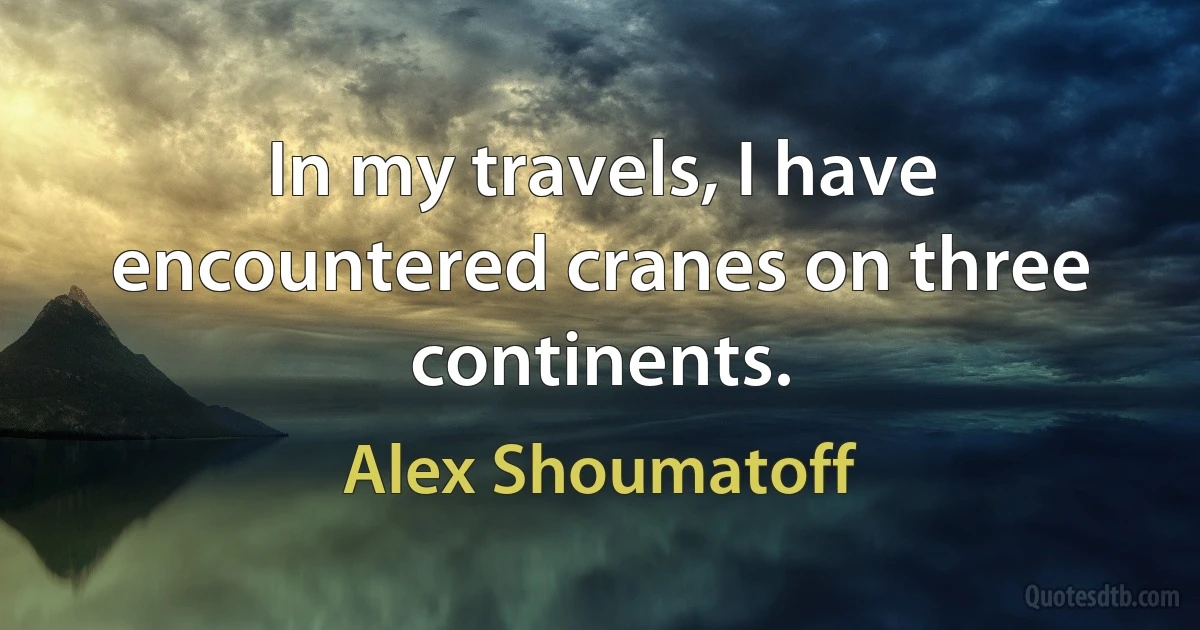 In my travels, I have encountered cranes on three continents. (Alex Shoumatoff)