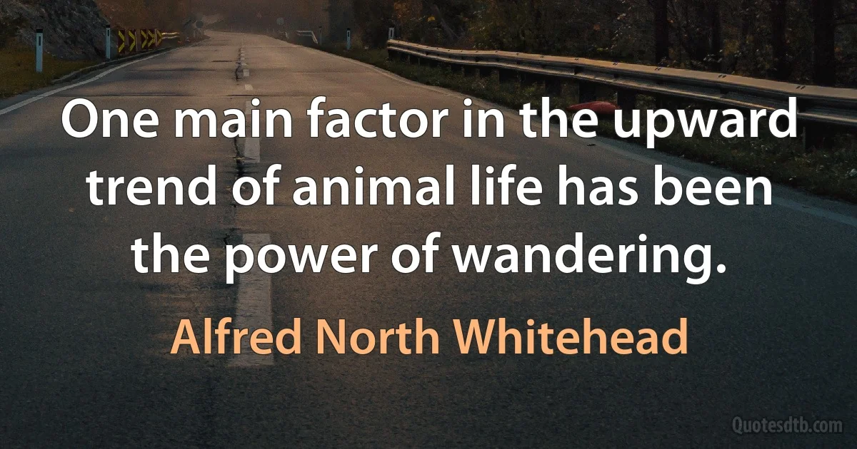 One main factor in the upward trend of animal life has been the power of wandering. (Alfred North Whitehead)