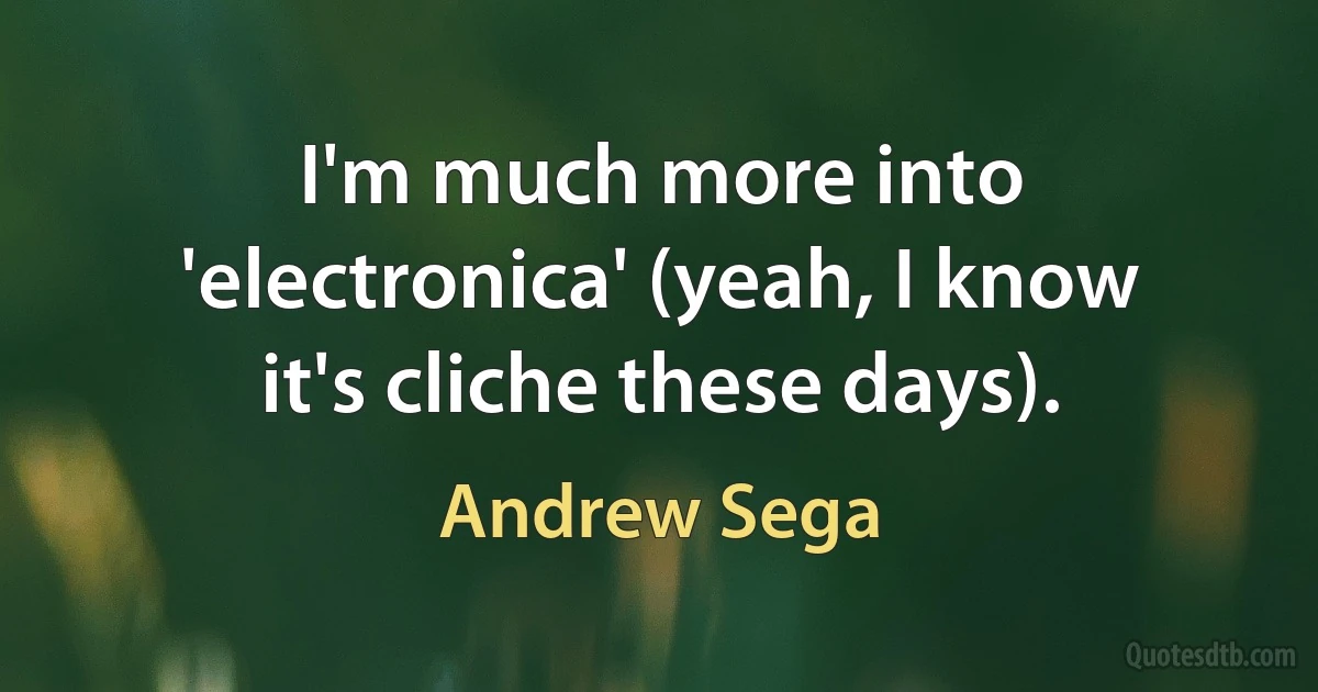 I'm much more into 'electronica' (yeah, I know it's cliche these days). (Andrew Sega)