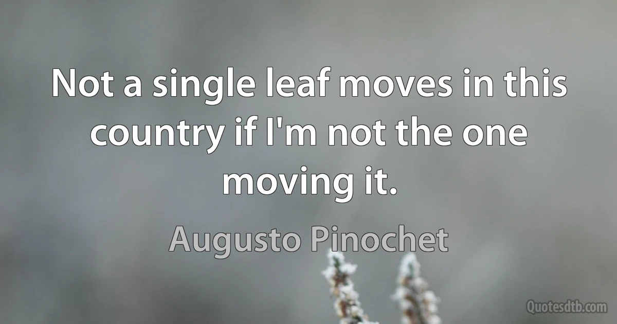 Not a single leaf moves in this country if I'm not the one moving it. (Augusto Pinochet)