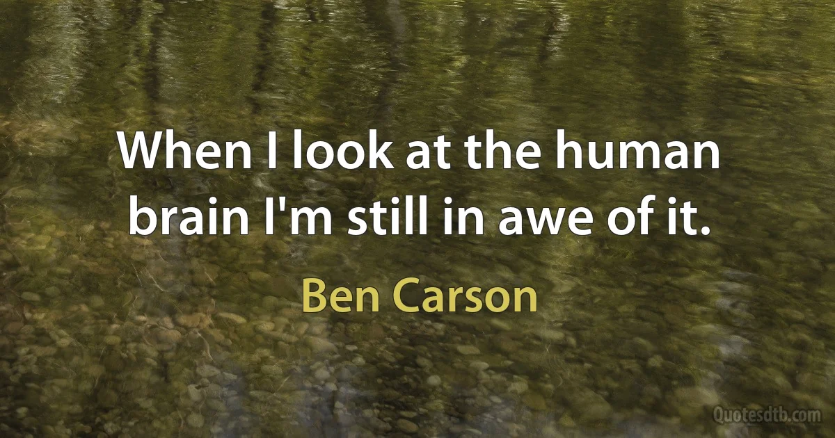 When I look at the human brain I'm still in awe of it. (Ben Carson)