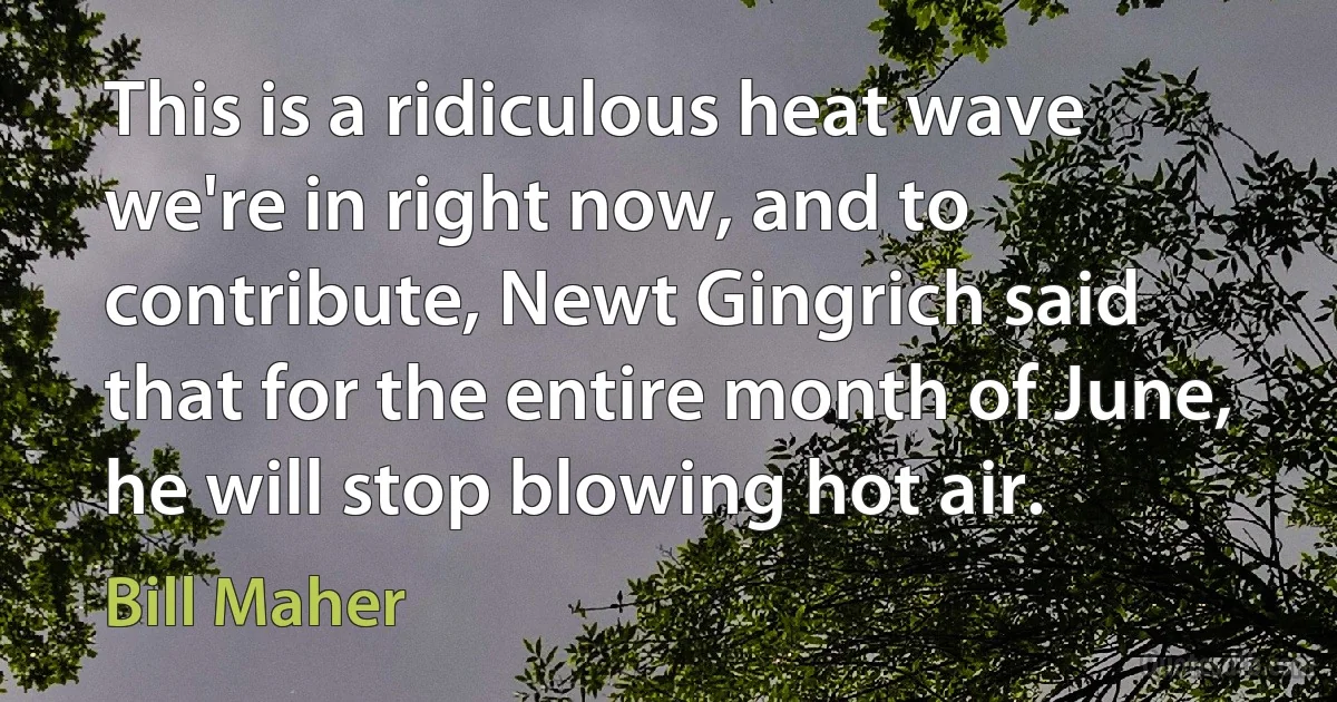 This is a ridiculous heat wave we're in right now, and to contribute, Newt Gingrich said that for the entire month of June, he will stop blowing hot air. (Bill Maher)