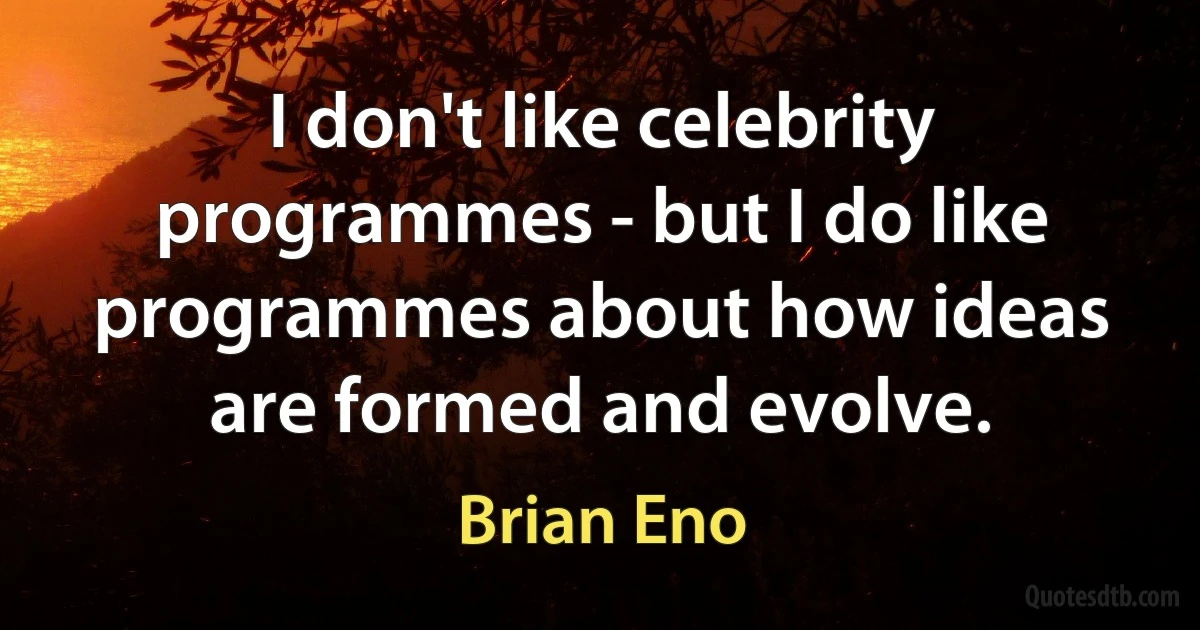 I don't like celebrity programmes - but I do like programmes about how ideas are formed and evolve. (Brian Eno)