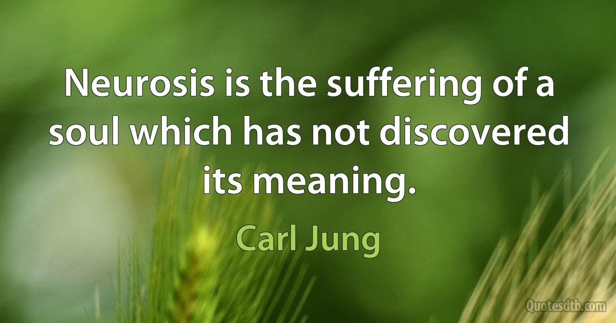 Neurosis is the suffering of a soul which has not discovered its meaning. (Carl Jung)