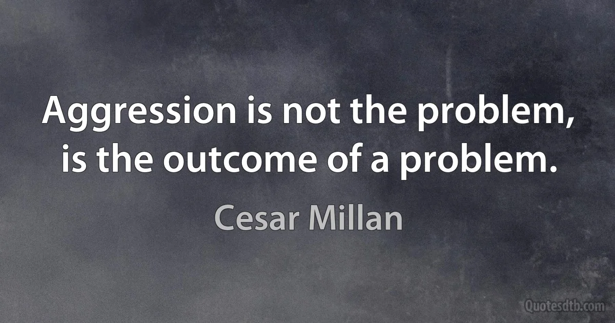 Aggression is not the problem, is the outcome of a problem. (Cesar Millan)