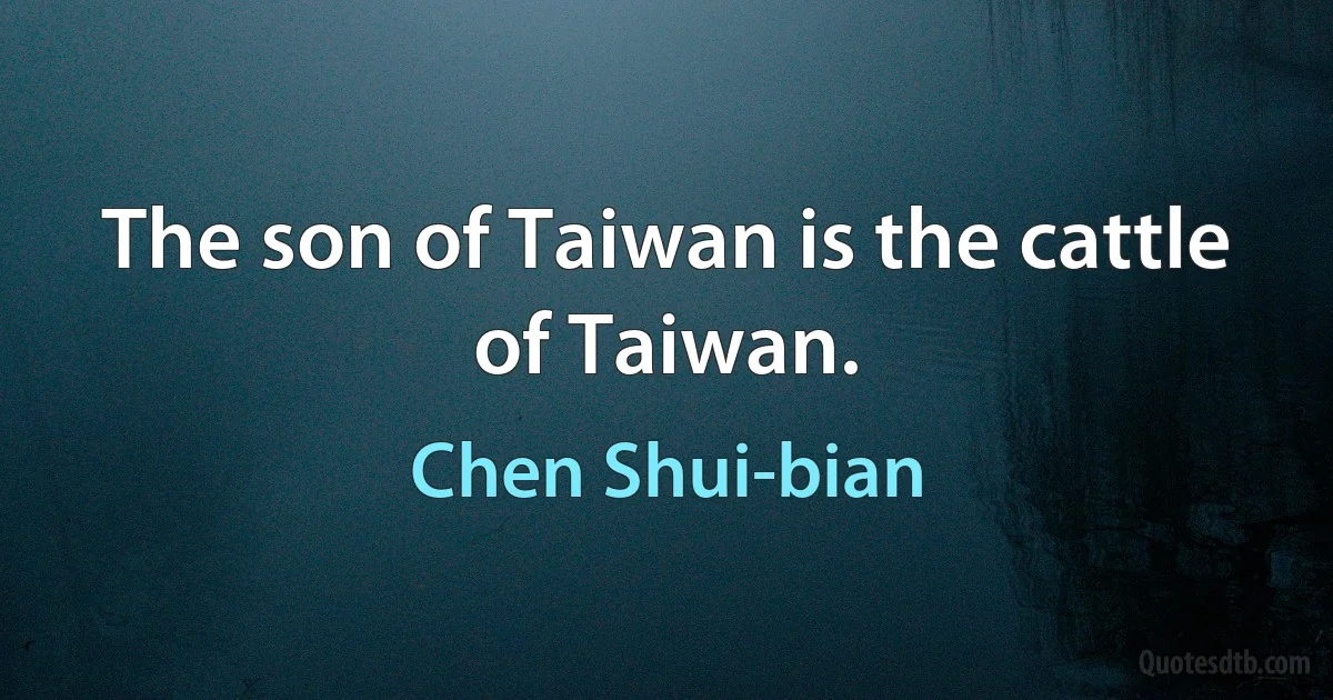 The son of Taiwan is the cattle of Taiwan. (Chen Shui-bian)