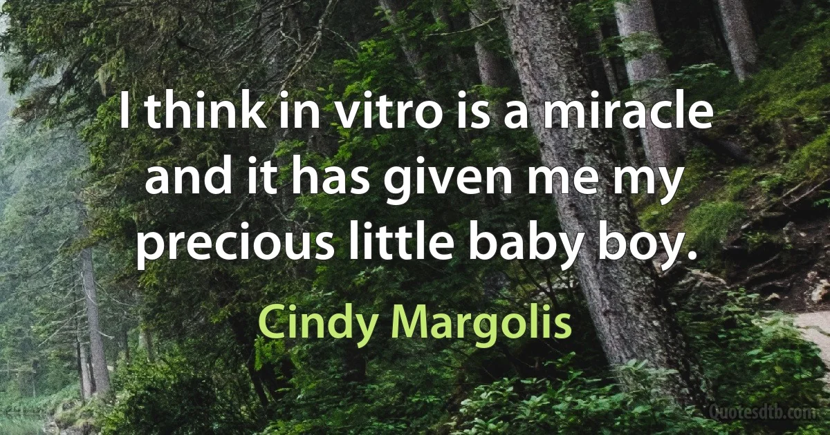 I think in vitro is a miracle and it has given me my precious little baby boy. (Cindy Margolis)