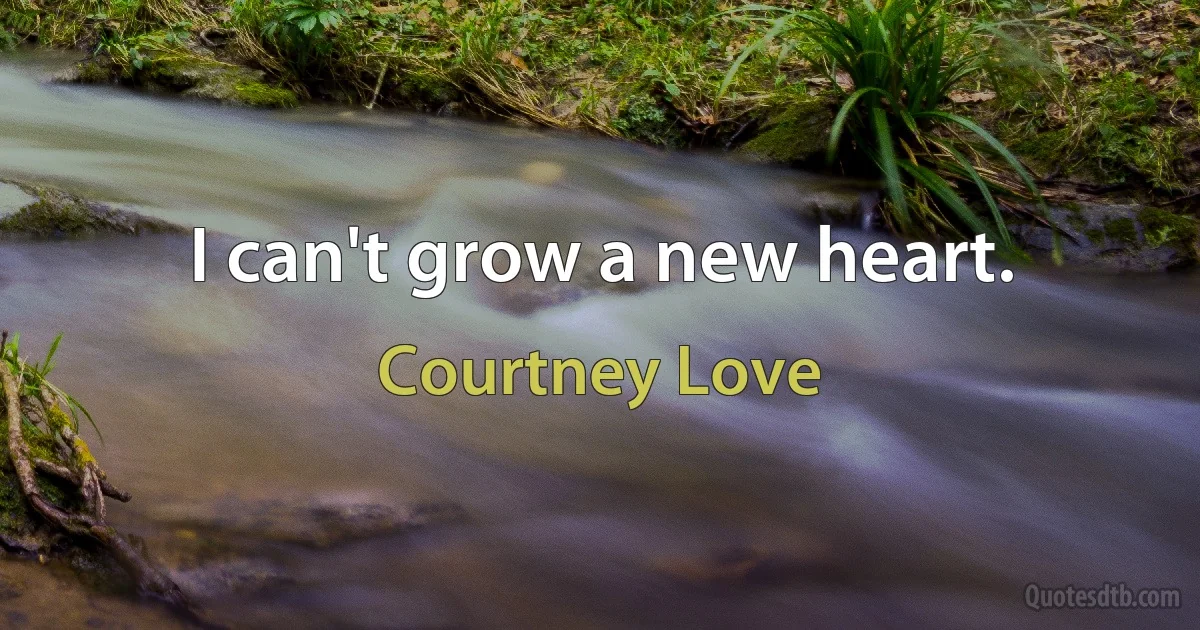 I can't grow a new heart. (Courtney Love)