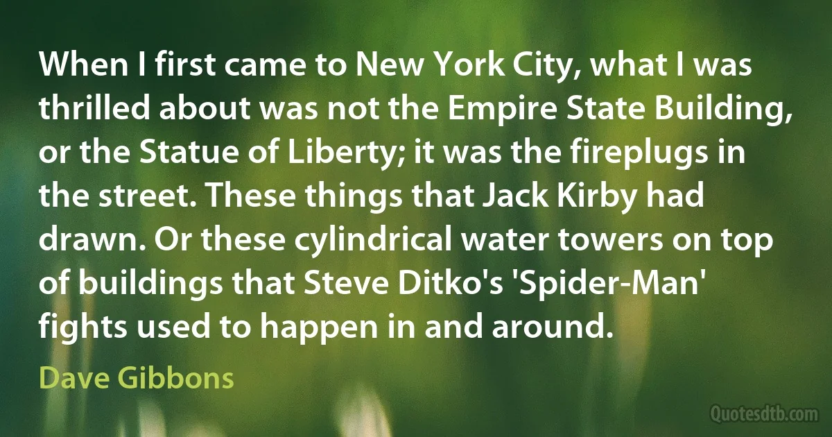 When I first came to New York City, what I was thrilled about was not the Empire State Building, or the Statue of Liberty; it was the fireplugs in the street. These things that Jack Kirby had drawn. Or these cylindrical water towers on top of buildings that Steve Ditko's 'Spider-Man' fights used to happen in and around. (Dave Gibbons)