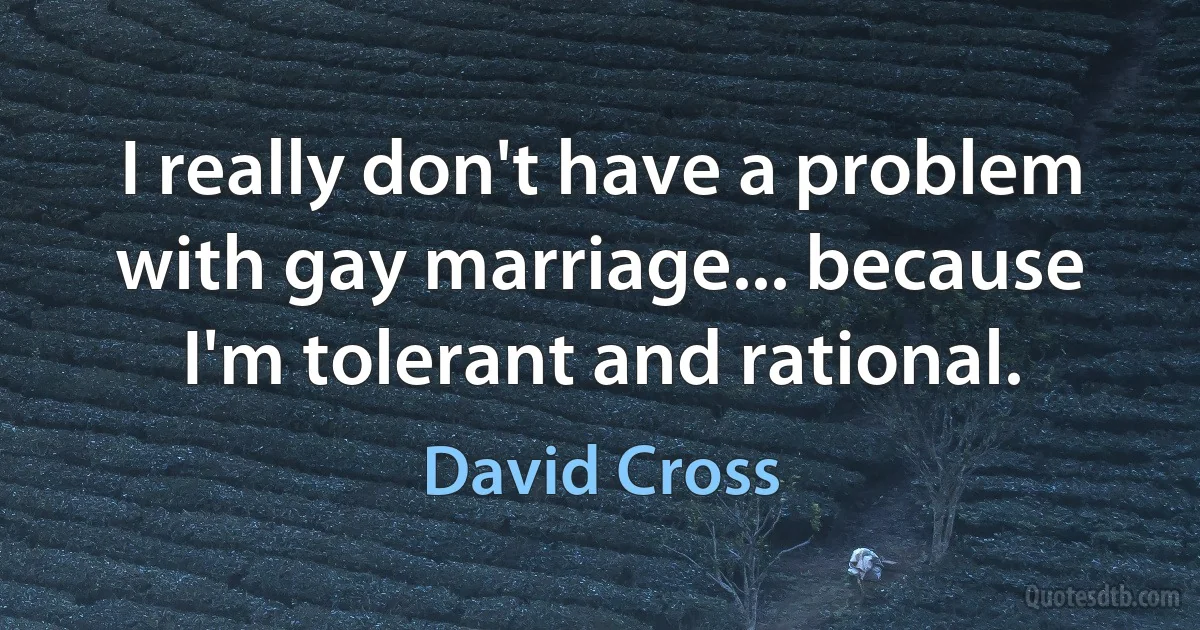 I really don't have a problem with gay marriage... because I'm tolerant and rational. (David Cross)