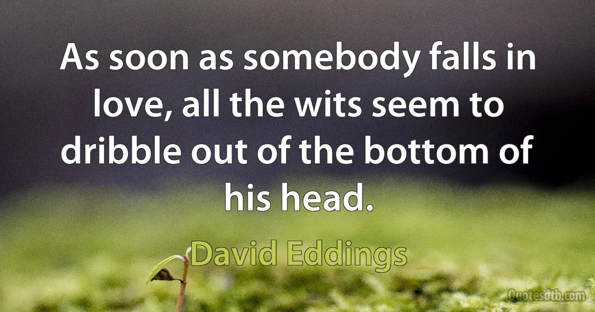 As soon as somebody falls in love, all the wits seem to dribble out of the bottom of his head. (David Eddings)